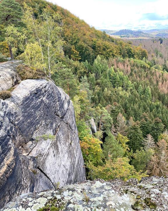 Bergwirtschaft Kuhstall